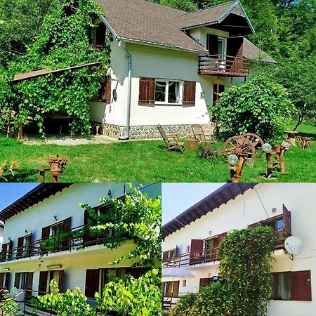 Complex Adela Transfagarasan Villa Cartisoara Ngoại thất bức ảnh