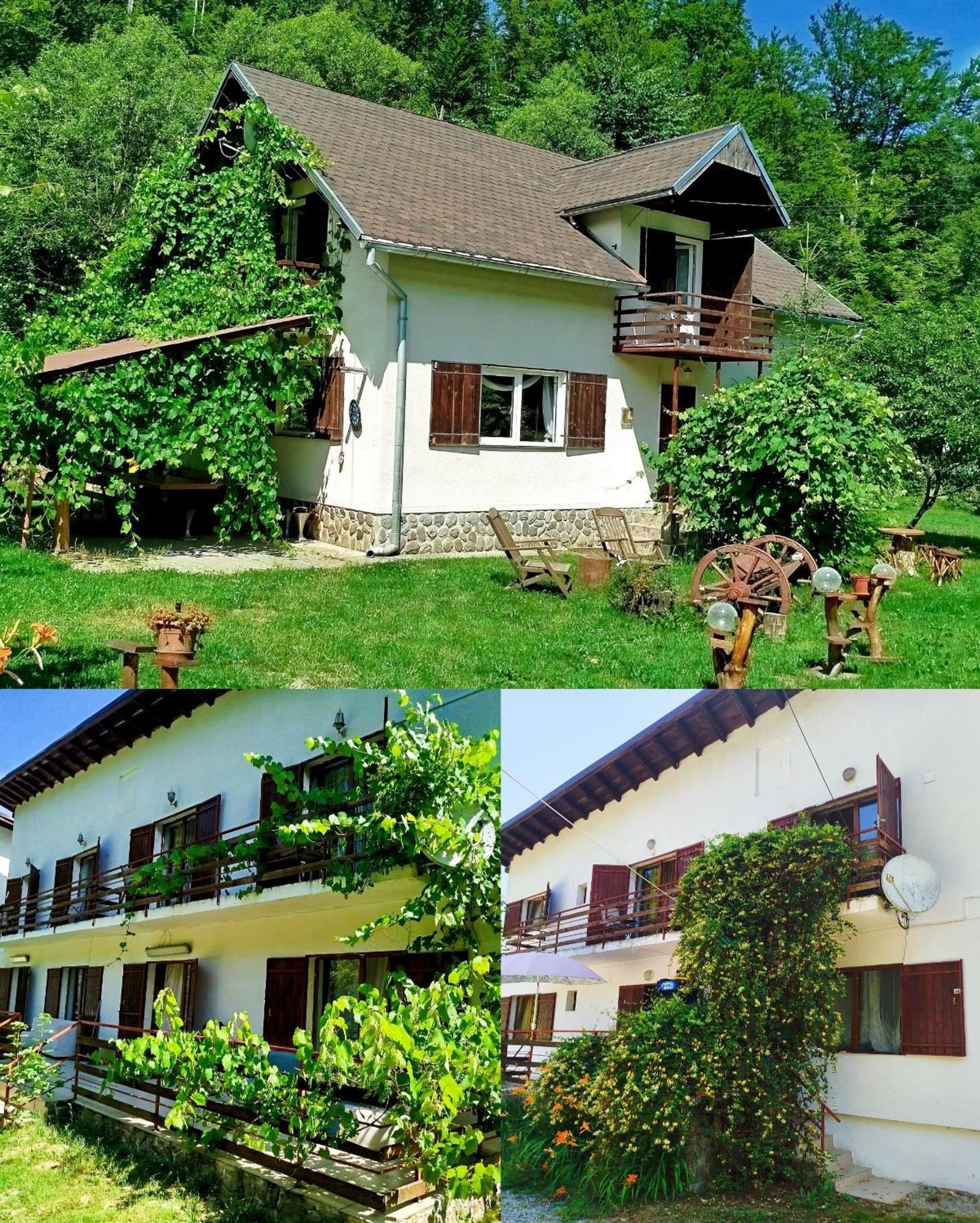 Complex Adela Transfagarasan Villa Cartisoara Ngoại thất bức ảnh